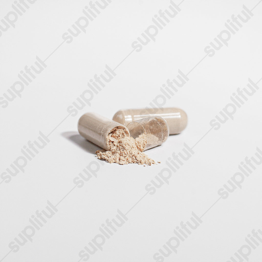 Chaga Mushroom — Oral Strips (view 4) | StripsWell